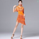 社交ダンス ラテンドレス 衣装 大人 レディース フリンジ ルンバ チャチャチャ ワンピース イレギュラー ビジュー キラキラ 競技着 練習服 コスチューム 舞...