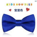 蝶ネクタイ 子供 男の子 小学生 ボウタイ 韓国 春秋 結婚式 発表会 ステージ衣装 アクセサリー プレゼント フォーマル おしゃれ 無地 花 シンプル 黄 オレンジ 青