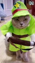犬 二足歩行 服 ペット 帽子 おもしろ 春 かわいい 猫 コスプレ 衣装 変身 コスチューム ナース 警察官 医者 博士 お嬢様 浦島太郎 乗馬