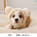 犬 帽子 ペット おもしろ ぬいぐるみ ヘッドバンド かわいい かぶりもの クマ ウサギ 誕生日 写真 アクセサリー ホワイト ピンク ブラウン