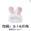 猫 帽子 かわいい 犬 誕生日 ニット アクセサリー イベント パーティ ギフト カエル ウサギ ライオン ペット パンダ うさぎ くま