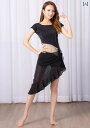 ベリーダンス 衣装 セット レディース コスチューム ステージ パフォーマンス 発表会 練習 初心者 トップス 半袖 スカート 丈 アシンメトリー フリル ベル...