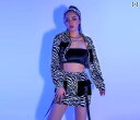 レディース ダンス衣装 セクシー セットアップ 大人 バー パフォーマンス キャバ ダンサー ジャズ ステージ フリーサイズ スカート コート パンツ ゼブラ柄 シングルブレスト ポケット(3)
