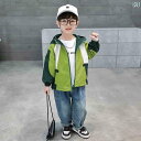 ウインドブレーカー キッズ 上着 アウター おしゃれ 韓国 ファッション アイテム フード ジップアップ バック ロゴ 男の子 春 緑
