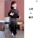 ダンス衣装 セットアップ 子供 キッズ 女の子 長袖 長ズボン パンツ ヒップホップ パフォーマンス ストリート おしゃれ 練習服 スウェット 黒 紫