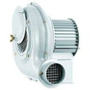 昭和電機 電動送風機 汎用シリーズ(0.04kW) SB151(3)