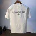 Tシャツ メンズ 半袖 クルーネック 刺繍 薄手 綿混紡 シンプル カジュアル ゆったりとした着心地 夏物 通気性 普段使い 普段着 ソフト トップス ロゴT ホワイト ブラック