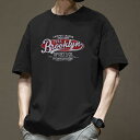 Tシャツ メンズ 半袖 ゆったりとしたシルエット 綿 無地 丸首 シンプル 旬の 普段使い 通気性 涼しい 春夏