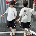 お子様 男の子 上下セット 夏物 半袖 Tシャツ ショートパンツ 綿 汗をよく吸ってすぐ乾き 肌に触れるとひんやり涼しい 軽くて快適 風通しが良く蒸れにくい 家庭で手軽に洗える カジュアル かっこいい おしゃれ プリント柄 成長期のお子様向け