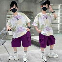 上下組 男の子 夏 半袖Tシャツ 半ズボン 上下セット 普段着 運動着 綿 通気性 吸湿速乾 街着 おしゃれ かっこいい 紫 緑