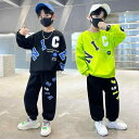 セットアップ 男の子 キッズ ボーイズ スウェット トレーナー 長袖Tシャツ ロンT 長ズボン パンツ 上下セット 綿 ポリエステル スポーツ カジュアル 通学 普段使い 春夏 黒 緑 キャラクター アニメ柄