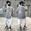 Tシャツ 半ズボン 上下セット 男の子 子供服 少年用 夏 運動向き 普段使い おしゃれ かっこいい 流行 綿 薄手 通学 普段着 灰色 紫色
