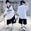 上下揃い 男の子 子供 少年 春夏 半袖Tシャツ ポロシャツ 半ズボン 気楽な ゆったり 綿 薄手 運動 通学 普段使い