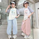 上下セット 女の子 半袖 Tシャツ 虫よけズボン 虫よけ 運動着 普段着 普段使い 綿 薄手 夏 小中学生