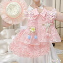 子供 女の子 上下セット フリル袖 半袖 裾広がり上着 背中開き リボン 半ズボン 夏 かわいい おしゃれ 薄手 通気性 普段使い 桃色