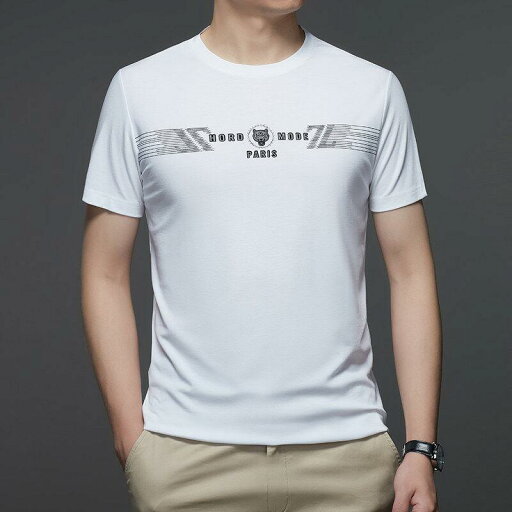半袖 Tシャツ メンズ シルケット加工綿 クルーネック ゆったり ビッグサイズ カジュアル トレンド 通気性 薄手 普段使い 夏 半袖 Tシャツ メンズ シルケット加工綿 クルーネック ゆったり ビッグサイズ カジュアル トレンド 通気性 薄手 普段使い 夏