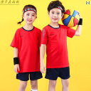 バドミントン ウェア キッズ ジュニア 男の子 女の子 小さめサイズ 大きめサイズ ユニフォーム バレーボール 競技 小学生 卓球 速乾