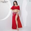 ベリーダンス 衣装 練習着 セクシー 社交ダンス ラテン スーツ フリンジ パフォーマンス レッド パープル ブルー