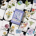 カード 手書き おしゃれ メッセージ 感謝 お祝い 記念日 おめう がう 桃 花 レター 箱入り ポスト 花 お祭り 告白 ギフト 祝福