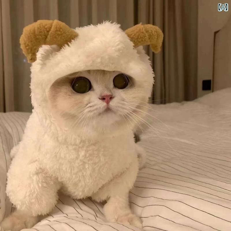 犬 服 猫 秋冬 厚手 唐 スーツ テディ 四 足 変身 子 小型 ペット かわいい