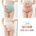 マタニティ 下着 妊婦 大きいサイズ 綿 ハイウエスト 腹 サポート 調節可能 ブリーフ 300 期 後期