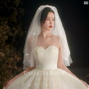 ブライダル アクセサリー 小物 ウェディング 結婚式 パーティー 婦 花嫁 舞台 小道具 コスプレ 愛 写真 レトロ 帽子 スーパー フェアリー ベール レディ...