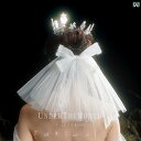 ブライダル アクセサリー 小物 ウェディング 結婚式 パーティー 婦 花嫁 舞台 小道具 コスプレ 愛 蝶 ネクタイ 小さめ ベール 白 写真 アクセサリー レ...