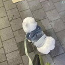 ペット 服 年 韓国 ぬいぐるみ 猫 犬 暖かい 綿 コート 厚手 かわいい クマ ぬいぐるみ ヘッド キルテング 暖かい ベスト アウター