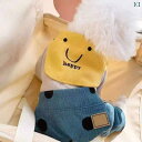 ペット 服 子犬 犬 厚手 秋冬 小型 犬 テディ ビション ポメラニアン チワワ 冬 起毛 コットンコート