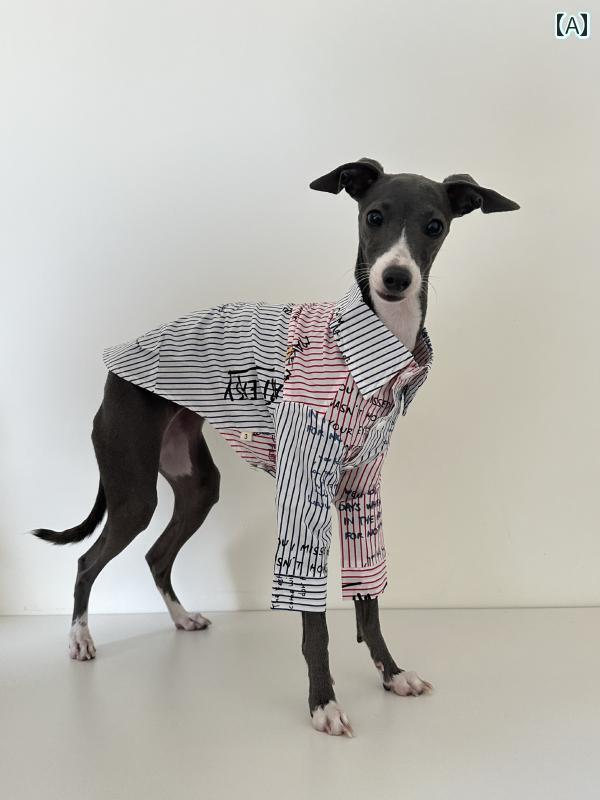 犬 服 コットン シャツ イタリアングレーハウンド ウィペット ベドリン トン テリア