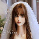 ブライダル ヘッドアクセサリー 結婚式 ウェディング パーティー 婦 花嫁 舞台 小道具 コスプレ 韓国 パール 多層 タフト 糸 頭飾り ベール フォト スタジ メンズ タイ リング 糸 ベール