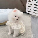 犬服 ドレス スカート ワンピース ドッグウェア かわいい おしゃれ ペット 春夏 秋 小型犬 猫 猫 ホワイト
