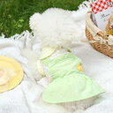犬服 ドレス スカート ワンピース ドッグウェア かわいい おしゃれ ペット 夏 小型犬 グリーン ブルー