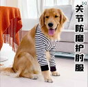 犬 前足 サポーター ペット 膝 パッド 脚 関節炎 緩和 手術 ケガ 靭帯 保護 カバーゴールデンレトリバー 肘 対策 かわいい 大きめサイズ ストライプ 黒 グレー 緑 車 トラ柄