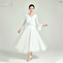 ダンス 衣装 レディース 社交ダンス モダンダンス スカート ワンピース メッシュ トップスス スイング ワルツ スクエア