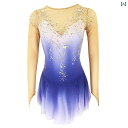フィギュア スケート 衣装 子供 女子 大人 レディース パフォーマンス 服 スケート 服 競技 スカート グラデーション 多数