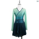 フィギュア スケート 衣装 子供 女子 大人 レディース パフォーマンス 服 スケート スカート 競技 グラデーション グリーン