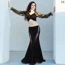 ベリーダンス 衣装 パフォーマンス ステージ コスプレ セクシー ダンス 服 ファッション オリエンタル ダンス セットアップ レディース 長袖 フィッシュテー...