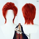ウィッグ かつら ステージ パフォーマンス コスプレ 変装 赤中 分け 逆 風 セット