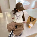 子供服 女の子 セットアップ おしゃれ カジュアル 春秋 ラグランスリーブ ブラウン ラウンドネック 長袖 プリント Tシャツ 加工 パンツ ズボン