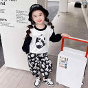 子供服 女の子 セットアップ かわいい おしゃれ 春秋 カラー ブロック パンダ ラウンドネック スウェットシャツ ズボン