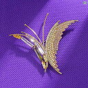 ブローチ レディース アクセサリー 銅 ジルコニア 精巧 エレガント 蝶 形 スーツ コート コサージュ ジュエリー