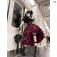 コスプレ 衣装 レディース コスチューム パーティー 写真撮影 マナー ダーク ゴスロリ 地雷 地雷 黒 シャツ 赤 プル スカート ロリータ 14,840円
