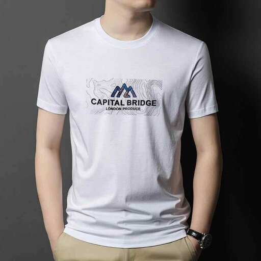大きいサイズ Tシャツ メンズ 半袖 丸首 紳士 涼しい 薄手 涼しい 夏 大きいサイズ Tシャツ メンズ 半袖 丸首 紳士 涼しい 薄手 涼しい 夏