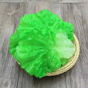 食品模型 フェイク レタス 葉 野菜 フルーツ リアル PVC製 軽量 プラスチック 家庭用 店舗用 ホテル レストラン 飲食店 ディスプレイ インテリア装飾 撮影用小物 フォトプロップス 商品撮影 イベント用 サンプル