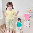 ベビー服 女の子 幼児 キッズ 韓国 おしゃれ トレンド かわいい 夏服 綿 半袖 プルオーバー ショートパンツ 花柄 ストライプ 2点セット 上下セット