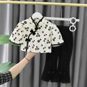 キッズ 女の子 ベビー 韓国 チャイナドレス風 セットアップ 夏 半袖 ショートパンツ 綿 コットン かわいい おしゃれ プリンセス