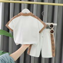 ベビー服 男の子 夏 半袖 ショートパンツ セットアップ カジュアル 綿 コットン 襟付き 韓国 おしゃれ 普段着 お出かけ 通園 スポーツウェア 2点セット ...