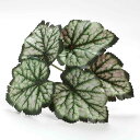 人工観葉植物 楓 モンステラ ポトス フェイクグリーン リアル 絹素材 インテリア装飾 ディスプレイ ウェディング 撮影小物 壁飾り リビング 店舗