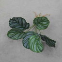 フェイクグリーン 北欧風 リアルな質感 モンステラ アップルリーフ ホスタ 根付き 人工植物 PVC素材 鉢植え グリーン系 ウェディング インテリア装飾 ディ...